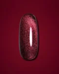 DARK Gel Polish Cat Eye 05, 10 ml
